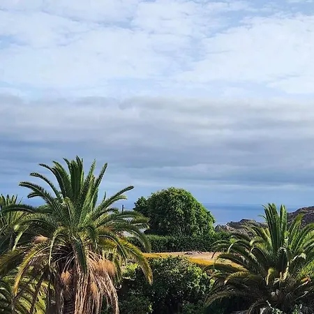 Villa The Palm Rural Beachside Icod De Los Vinos